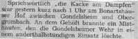 zum Artikel